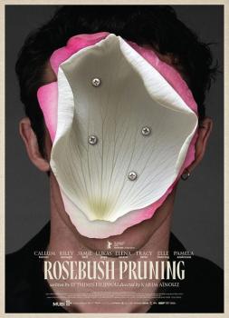 Rosebush Pruning