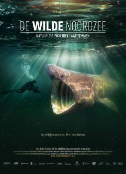 Die Wilde Nordsee - Natur, die sich nicht zähmen lässt