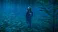 Ausschnitt aus dem Film - The Forest