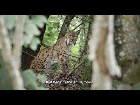 Lynx - trailer 1