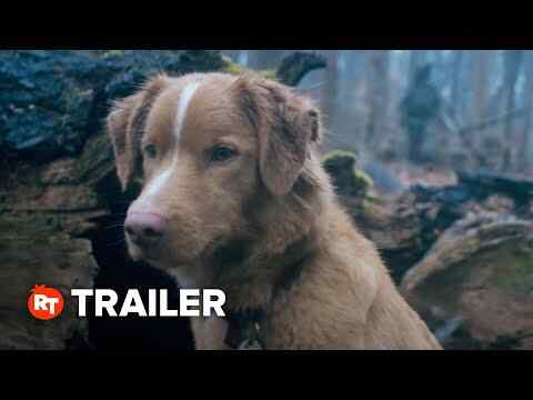 Good Boy - trailer 2
