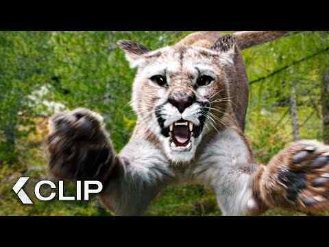 Woodwalkers 2 - Clip & Trailer